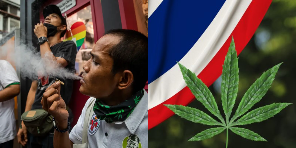 10 things to know cannabis thailand header vs4n
