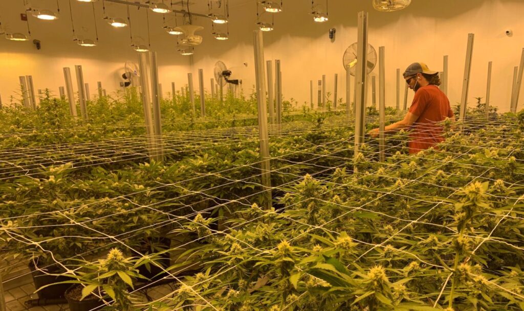 indoor