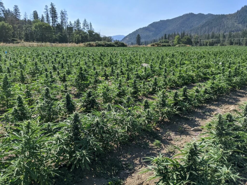 dryfarming 1