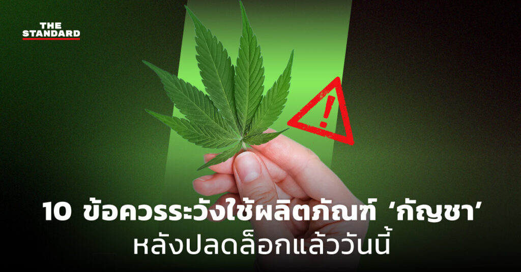 กัญชา cover